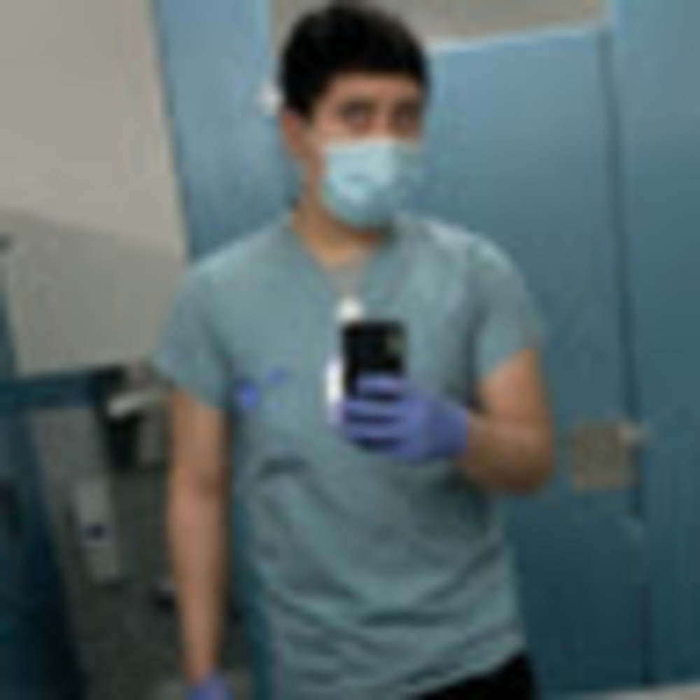 Meet your Posher, Ernesto